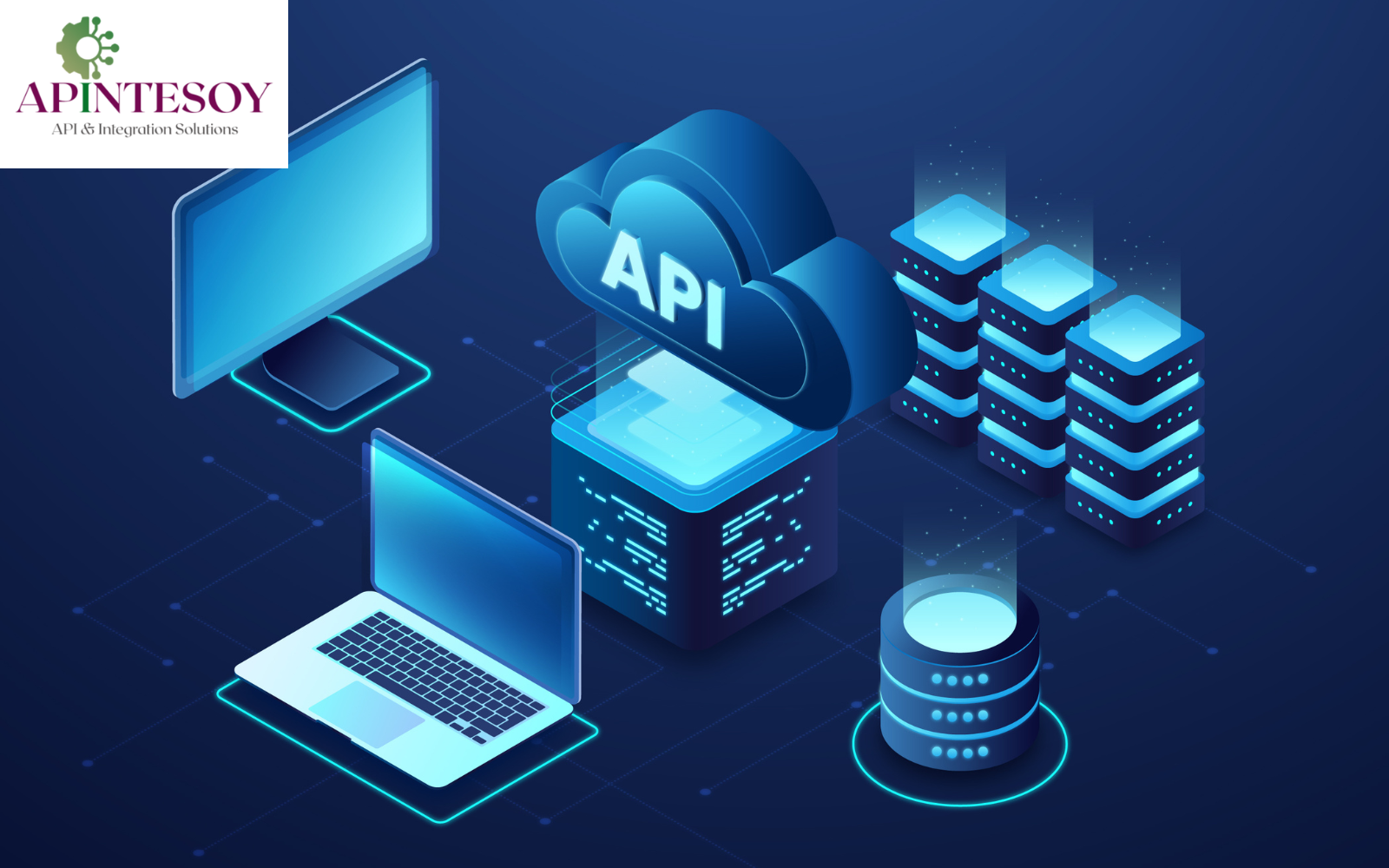 api integration